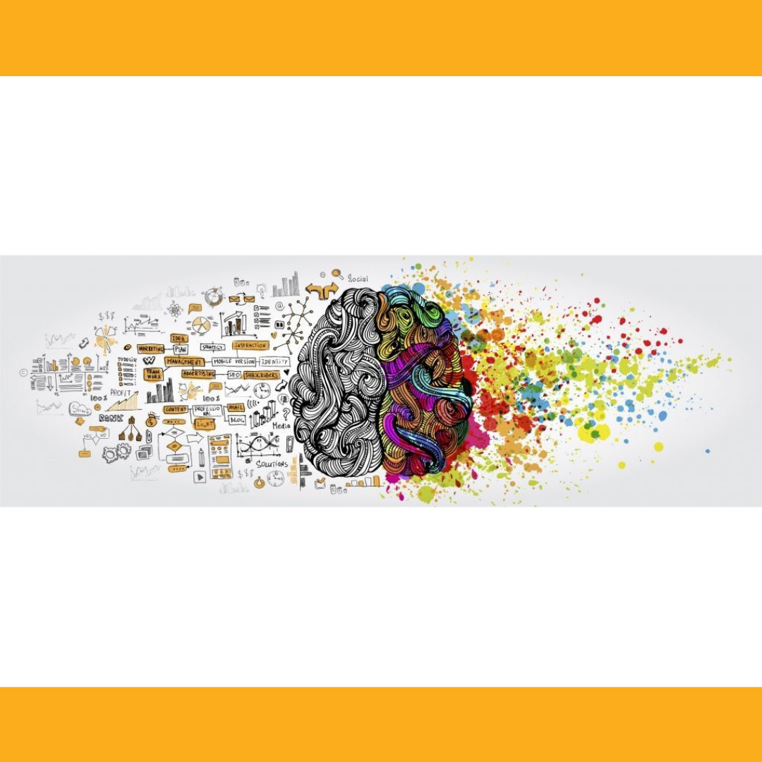 Neuroplasticity, The Science Behind Rapidly Rewiring Your Brain