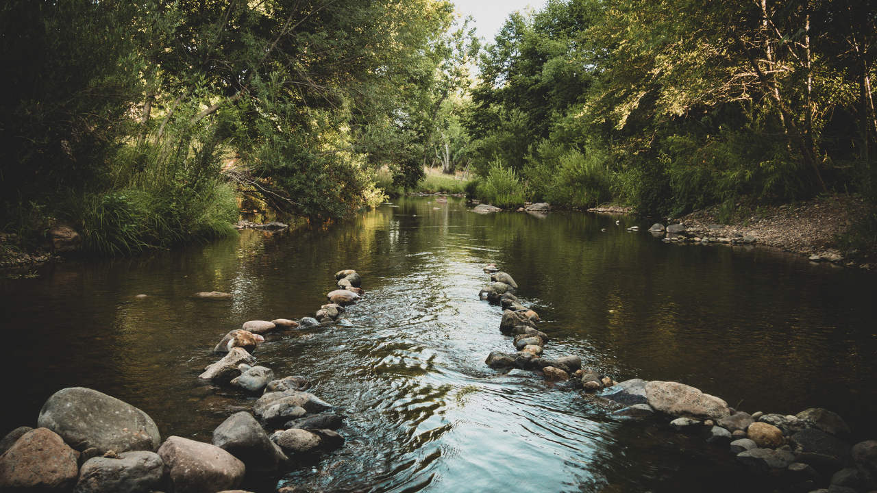 7 Steps to Achieve A State of Flow To Boost Your Well-being & Success