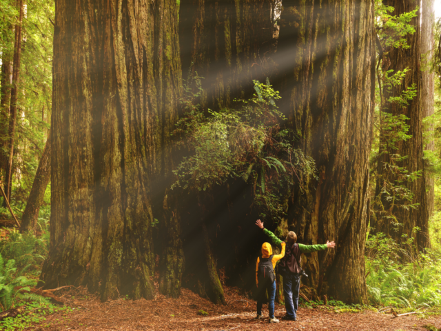 The Healing Power of Giving and Receiving: A Path Back from Burnout